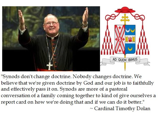 Cardinal Timothy Dolan on Synods