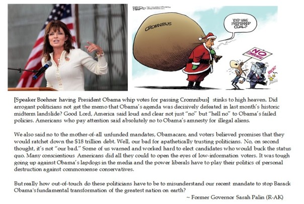 Sarah Palin on Cromnibus Passage 