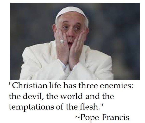 Pope Francis on the Christian Life 