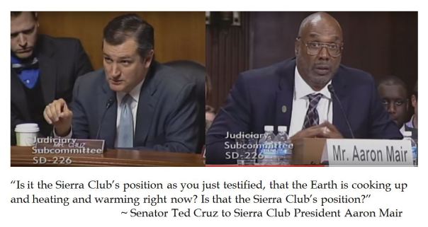 Senator Ted Cruz Burns Sierra Club President 