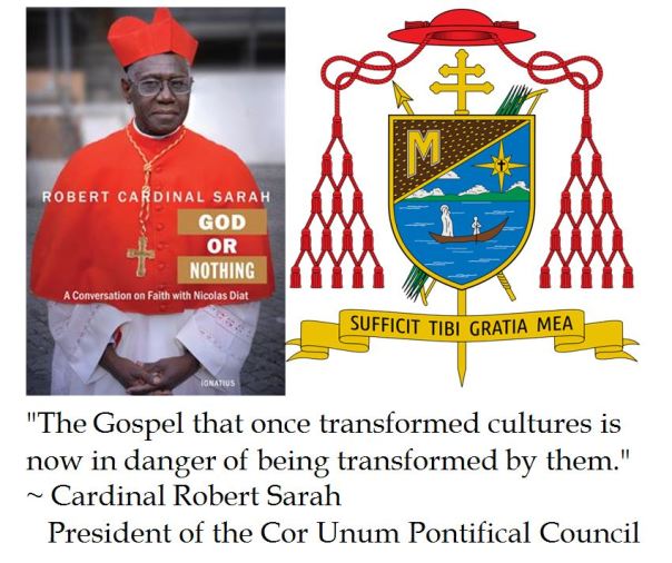 Cardinal Robert Sarah on the Gospel