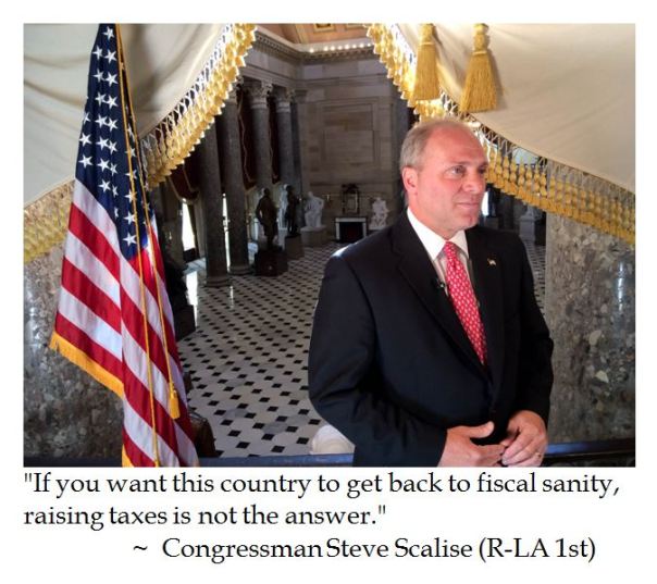 Steve Scalise on Taxes