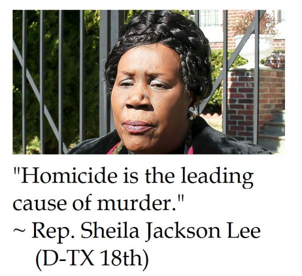 Sheila Jackson Lee on Homicide 
