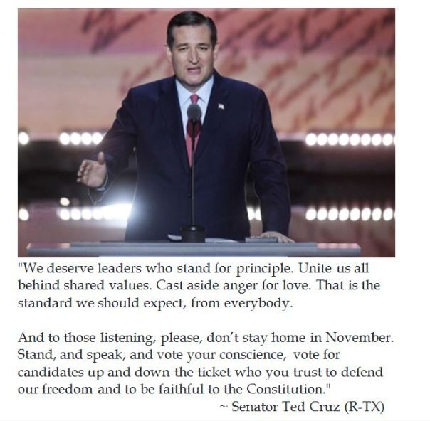 Ted Cruz on Voting One's Conscience at 2016 GOP National Convention
