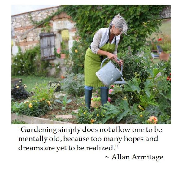 Allan Armitage on Gardening 