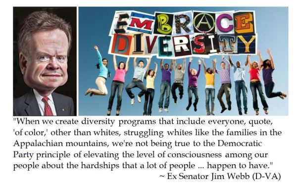 Ex Senator Jim Webb on Democrats and Diversity Programs 