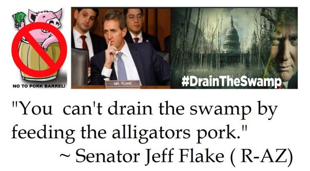 Senator Jeff Flake on Pork Barrell Spending and Draining the Swamp