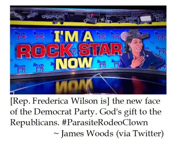 James Woods on Rep. Frederica Wilson