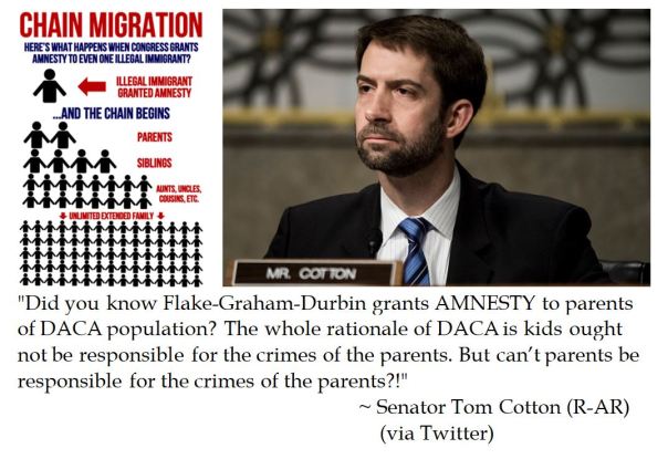 Senator Tom Cotton on the perils of amnesty in a DACA deal 