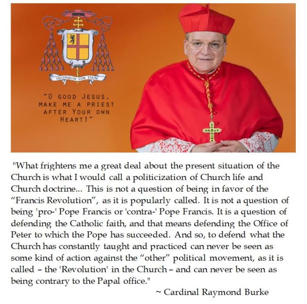 Cardinal Raymond Burke on the Politization of Church Life under Pope Francis