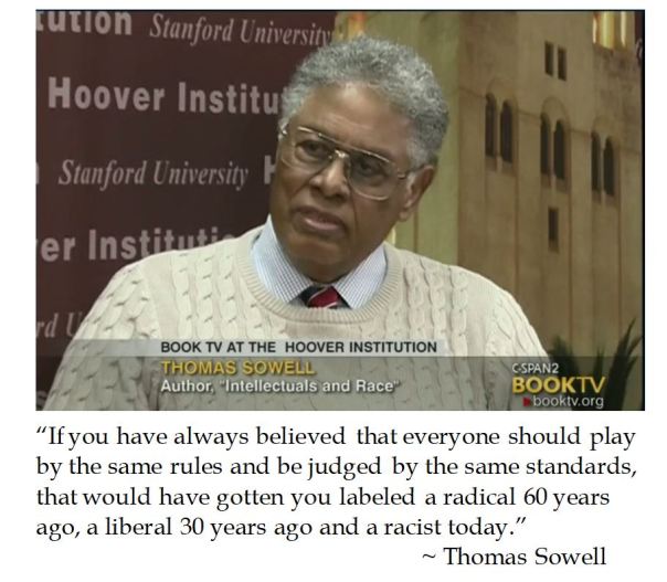 Thomas Sowell on Equality Politics and Race 