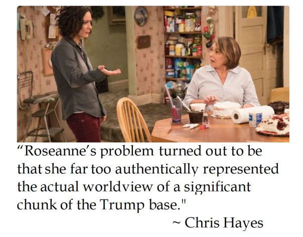 MSNBC's Chris Hayes on Roseanne and Trump supporters 