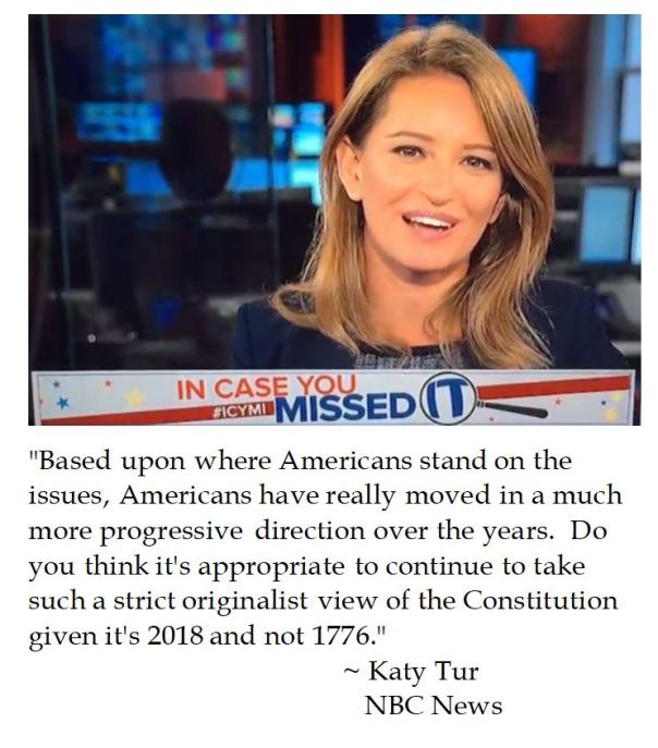 Katy Tur on the Constitution