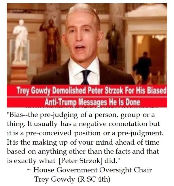 House Government Oversight Chair Trey Gowdy on Textbook Bias by Peter Strzok 