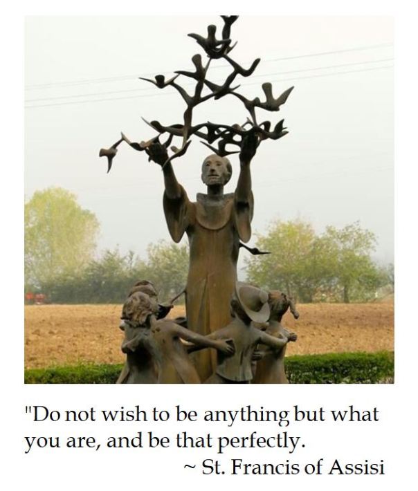 St. Francis Assisi on Life 