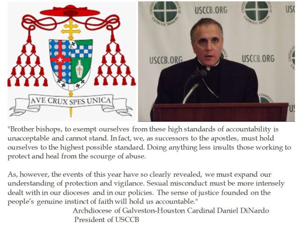 USCCB President Cardinal Di Nardo on Episcopal Accountability